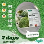 ''BABA'' TRANSPARENT MICROGREEN BOX MT-3003 菜苗种植盆