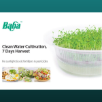 ''BABA'' TRANSPARENT MICROGREEN BOX MT-3003 菜苗种植盆