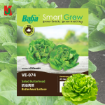 "BABA"  VEGETABLE  FRUIT SEEDS  VE-074  10GM蔬菜瓜果种子