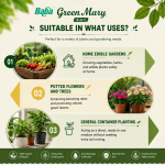 "BABA"  POTTING MIX GREEN MARY 6 IN 1  28.0 Ltr