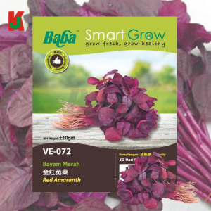 "BABA"  VEGETABLE  FRUIT SEEDS  VE-072  10GM蔬菜瓜果种子