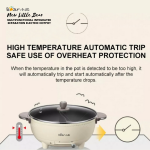 ''BEAR'' MULTIFUNCTIONAL SEPARATION ELECTRIC HOTPOT 6.0Ltr DHG-B60R6多功能鸳鸯电火锅 AL-K038