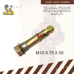 R:  WALL PLUG EXPANSION BOLT  M06 x 50mm x 35-1.00P   粗墙壁塞子 (4PC/PKT)