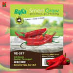 "BABA"  VEGETABLE  FRUIT SEEDS  VE-017  10GM蔬菜瓜果种子