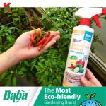 "BABA"  TENEN CHILI-CITRUS ECOFERT SPRAYER (500ML) 种植喷剂