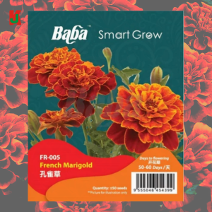 "BABA" FLOWER SEEDS  FR-205 (FRENCH MARIGOLD)花种子