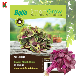 "BABA"  VEGETABLE  FRUIT SEEDS  VE-008  10GM蔬菜瓜果种子   -   AMARANTH RED AUTUMN