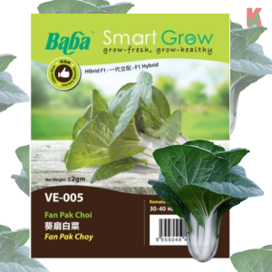 "BABA"  VEGETABLE  FRUIT SEEDS  VE-005  10GM蔬菜瓜果种子   -   FAN PAK CHOY