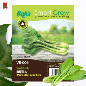 "BABA"  VEGETABLE  FRUIT SEEDS  VE-006  10GM蔬菜瓜果种子   -    HONG KONG BIS STEM CHOY SUM