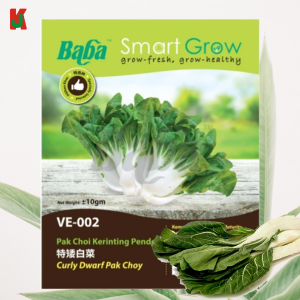 "BABA"  VEGETABLE  FRUIT SEEDS  VE-002  10GM蔬菜瓜果种子   -  CURLY DWARF PAK CHOY