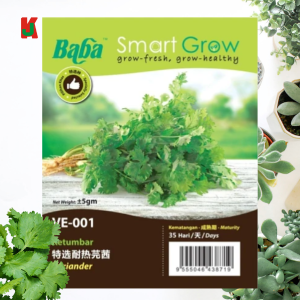 "BABA"  VEGETABLE  FRUIT SEEDS  VE-001  10GM蔬菜瓜果种子  -  CORIANDER