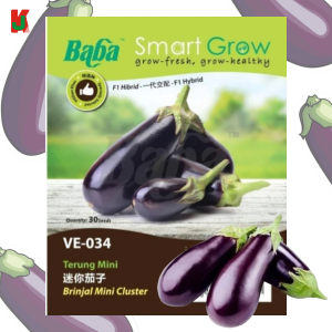 "BABA"  VEGETABLE  FRUIT SEEDS  VE-034  10GM蔬菜瓜果种子