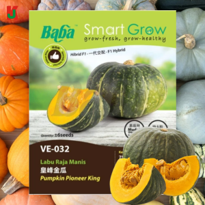 "BABA"  VEGETABLE  FRUIT SEEDS  VE-032  10GM蔬菜瓜果种子