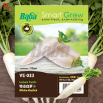 "BABA"  VEGETABLE  FRUIT SEEDS  VE-033  10GM蔬菜瓜果种子