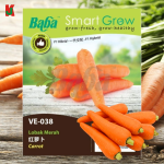 "BABA"  VEGETABLE  FRUIT SEEDS  VE-038  10GM蔬菜瓜果种子