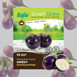 "BABA"  VEGETABLE  FRUIT SEEDS  VE-027  10GM蔬菜瓜果种子