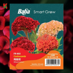 "BABA" FLOWER SEEDS  FR-003 (COCKSCOMB)花种子