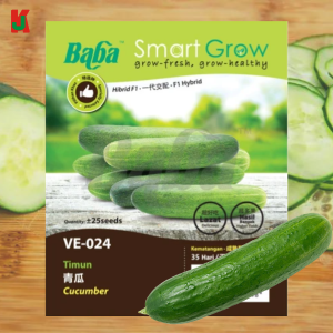 "BABA"  VEGETABLE  FRUIT SEEDS  VE-024  10GM蔬菜瓜果种子