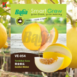 "BABA"  VEGETABLE  FRUIT SEEDS  VE-054  10GM蔬菜瓜果种子