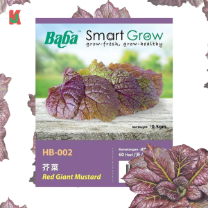 "BABA"  VEGETABLE  FRUIT SEEDS  HB-002  10GM蔬菜瓜果种子