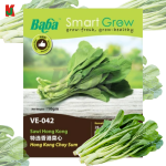 "BABA"  VEGETABLE  FRUIT SEEDS  VE-040  10GM蔬菜瓜果种子