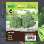 "BABA"  VEGETABLE  FRUIT SEEDS  VE-046  10GM蔬菜瓜果种子