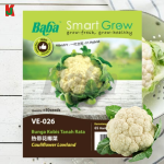 "BABA"  VEGETABLE  FRUIT SEEDS  VE-026  10GM蔬菜瓜果种子