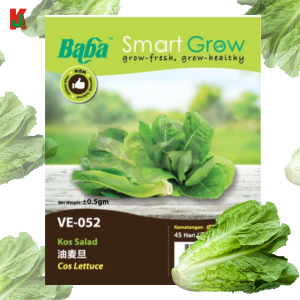 "BABA"  VEGETABLE  FRUIT SEEDS  VE-052  10GM蔬菜瓜果种子