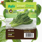 "BABA"  VEGETABLE  FRUIT SEEDS  VE-056  10GM蔬菜瓜果种子