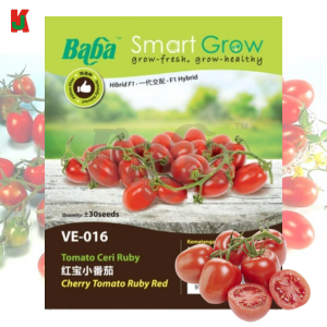 "BABA"  VEGETABLE  FRUIT SEEDS  VE-016  10GM蔬菜瓜果种子   -  CHERRY TOMATO RUBY RED