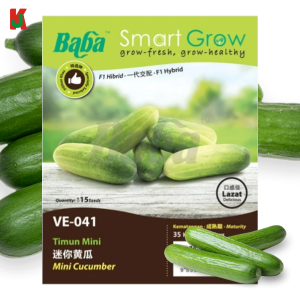 "BABA"  VEGETABLE  FRUIT SEEDS  VE-041  10GM蔬菜瓜果种子