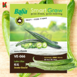 "BABA"  VEGETABLE  FRUIT SEEDS  VE-066  10GM蔬菜瓜果种子