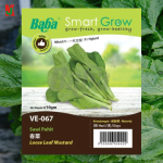 "BABA"  VEGETABLE  FRUIT SEEDS  VE-067  10GM蔬菜瓜果种子