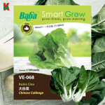 "BABA"  VEGETABLE  FRUIT SEEDS  VE-065  10GM蔬菜瓜果种子