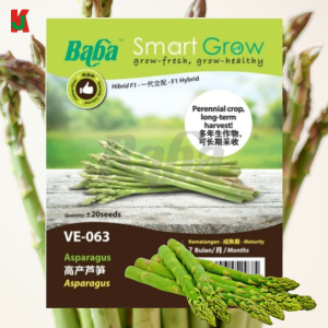 "BABA"  VEGETABLE  FRUIT SEEDS  VE-063  10GM蔬菜瓜果种子 (Asparagus)