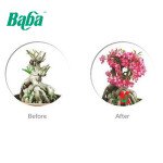 "BABA"  TENEN 50X (500ML) 种植剂